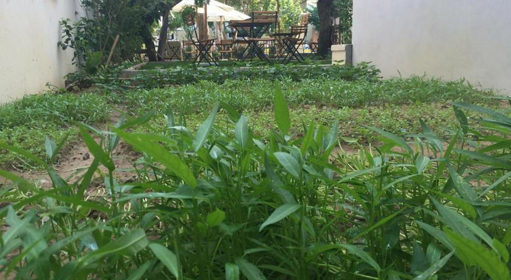 Heritage Homestay Хой Ан Екстериор снимка